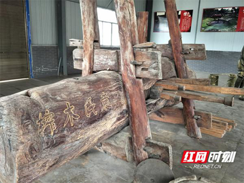008PG国际,油茶种植出产加工销售,植物油种植出产加工销售